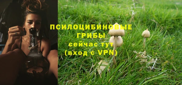 гашиш Абаза