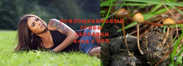 МДПВ Абдулино