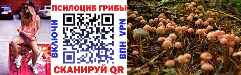 Галлюциногенные грибы Psilocybe Нижнекамск